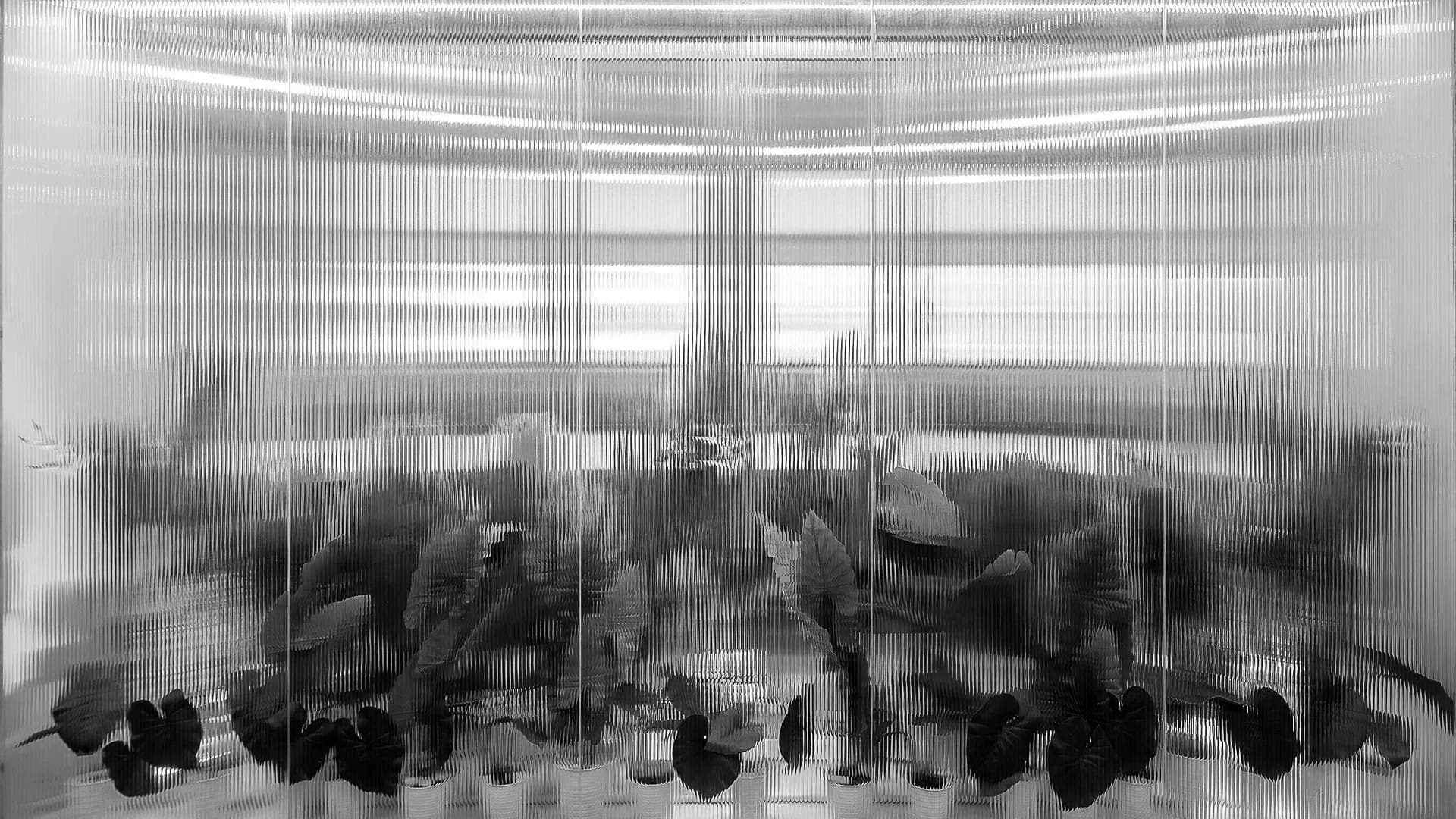 Hilal and Partners interior behind a fluted glass partition